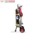 Máy Tạo Bọt Tuyết Rửa Xe 30 Lít – Pallas – ảnh 2