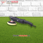 SHINEMATE – Máy Đánh Bóng Đồng Tâm EP802 – NEW – ảnh 1